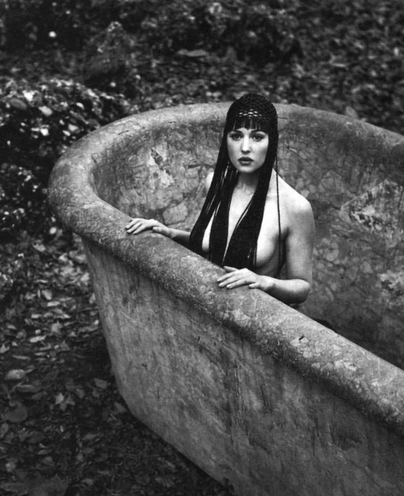 私の華麗なるモニカ--ベルッチとチマ
 #91522853