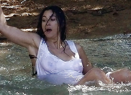 私の華麗なるモニカ--ベルッチとチマ
 #91522937