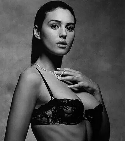 私の華麗なるモニカ--ベルッチとチマ
 #91522999