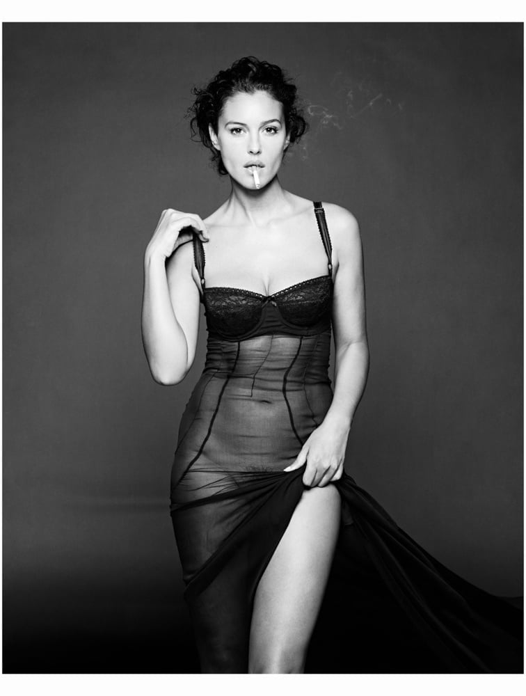 私の華麗なるモニカ--ベルッチとチマ
 #91523043