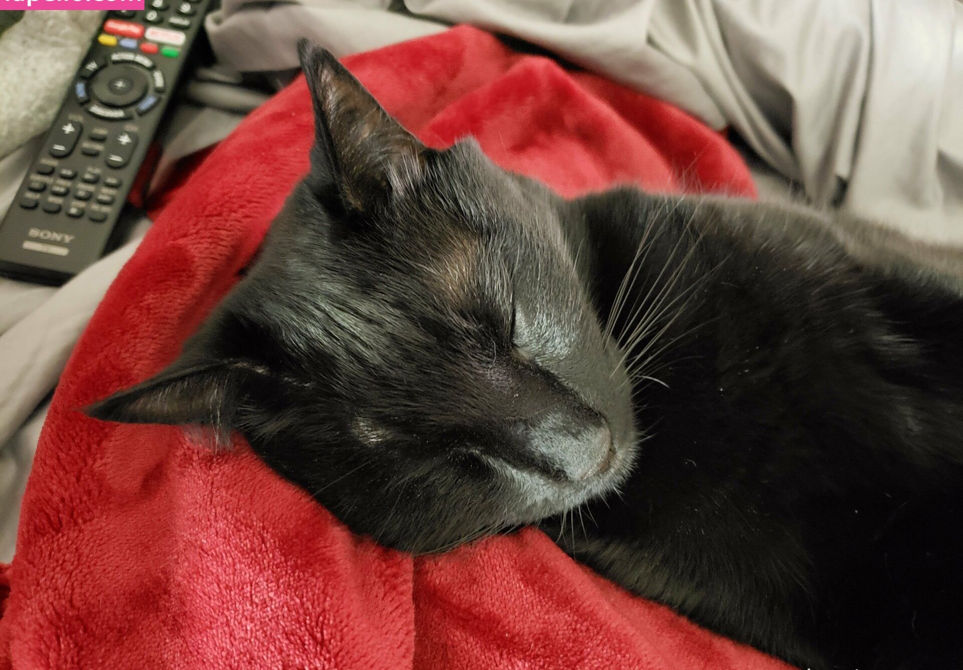 Sinnocent desnuda #109866337