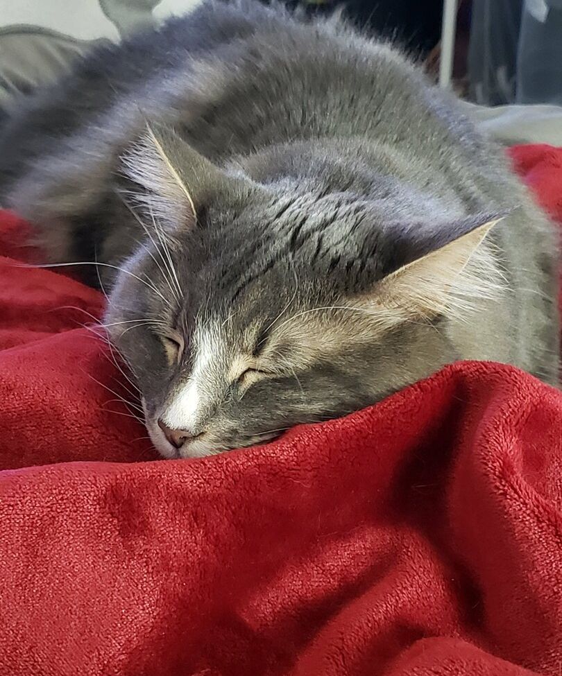 Sinnocent desnuda #109866338