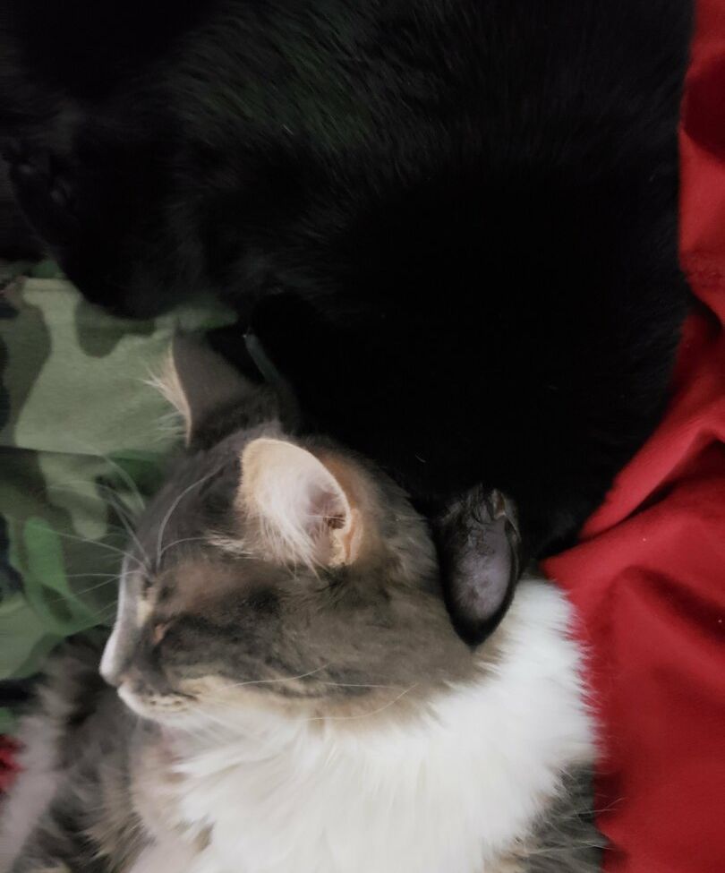 Sinnocent desnuda #109866407