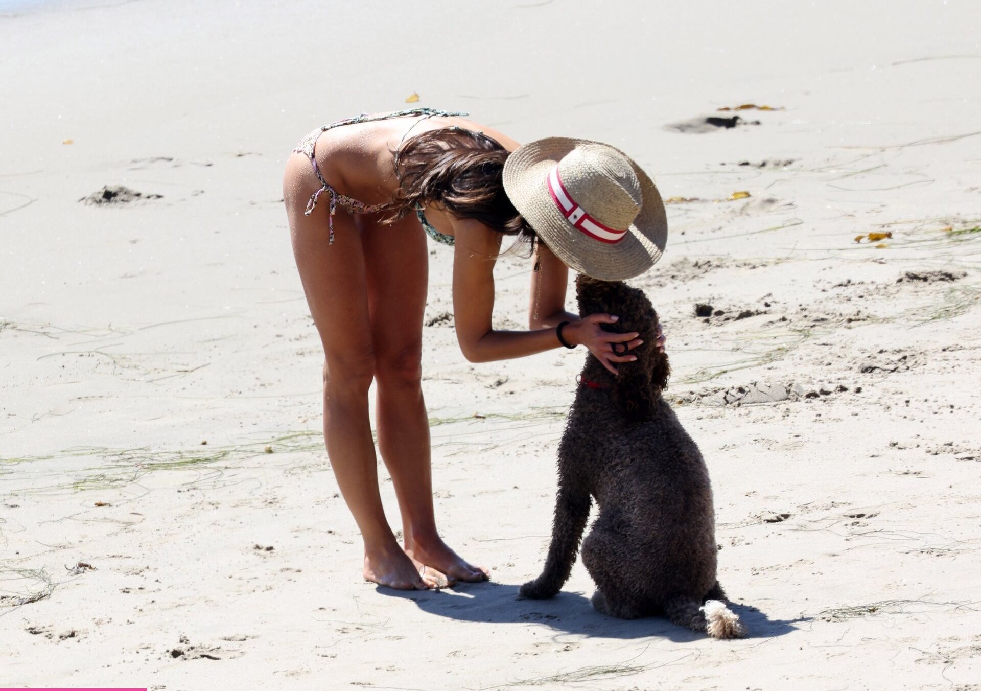 Jordana Brewster desnuda #108078960