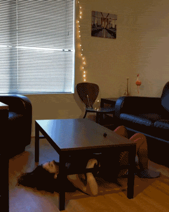 Gifs 223
 #90091243