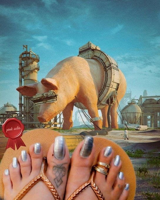 Pink Soles Indian Feet Goddess #102761191
