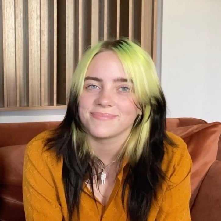 Billie Eilish #105421979