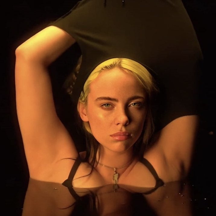 Billie Eilish #105422254