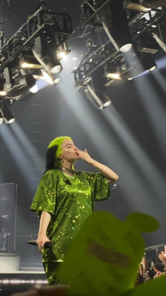 Billie Eilish #105422393