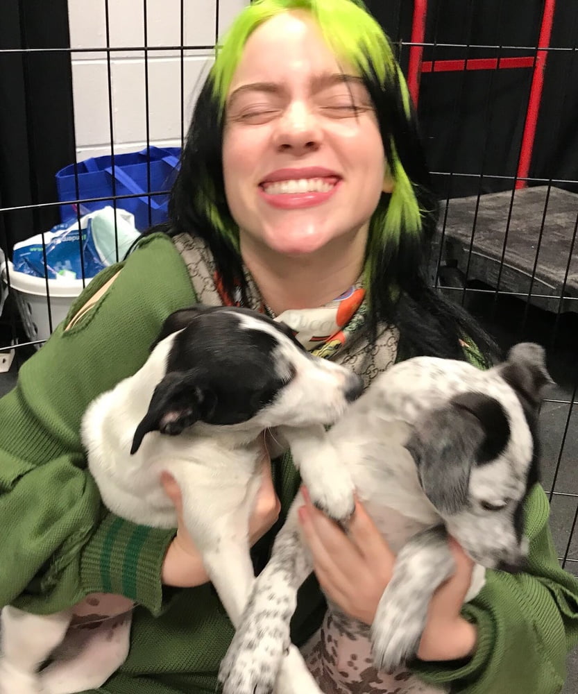 Billie Eilish #105422490