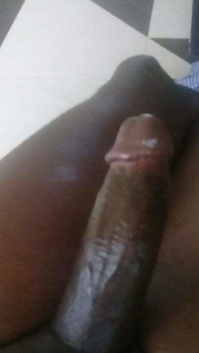 Ttbbw ギャラリー
 #90366394