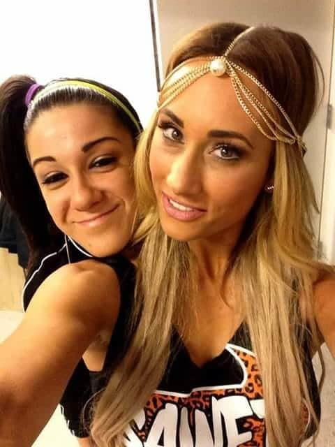 Sexy women of wwe #87454766