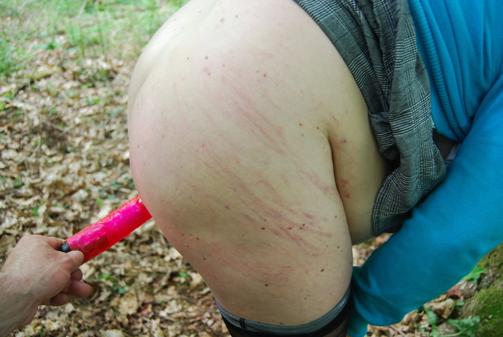 Soumise lagon en foret
 #89286696