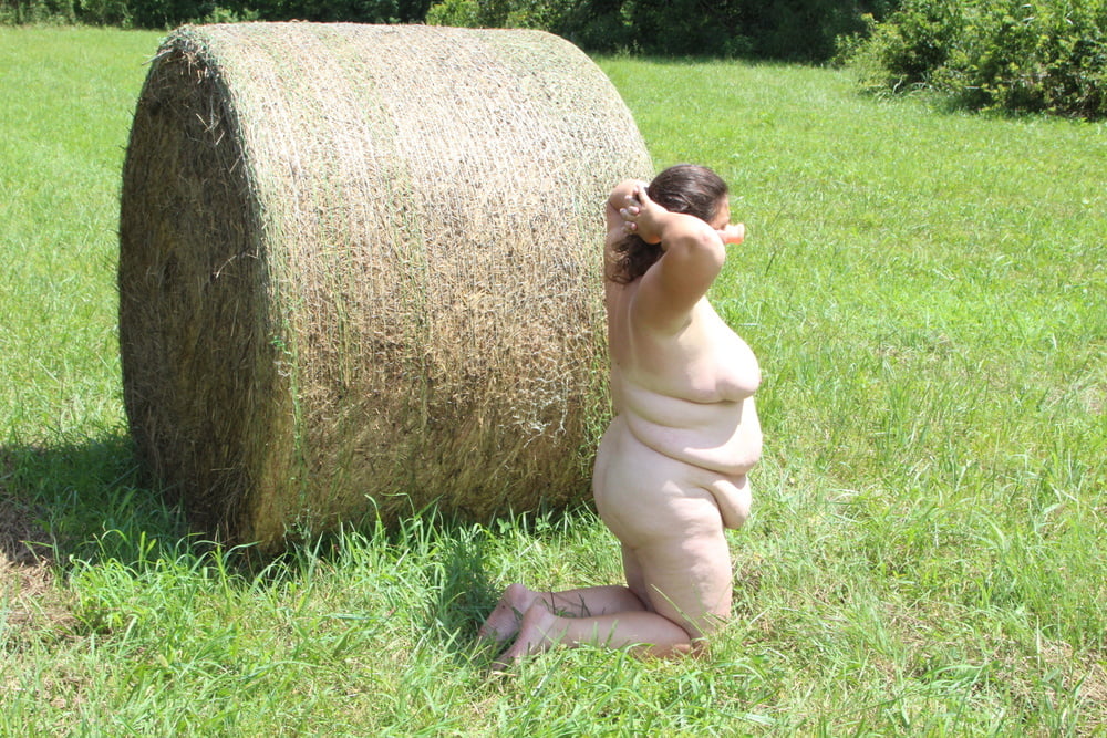 Porker in the field #80790212