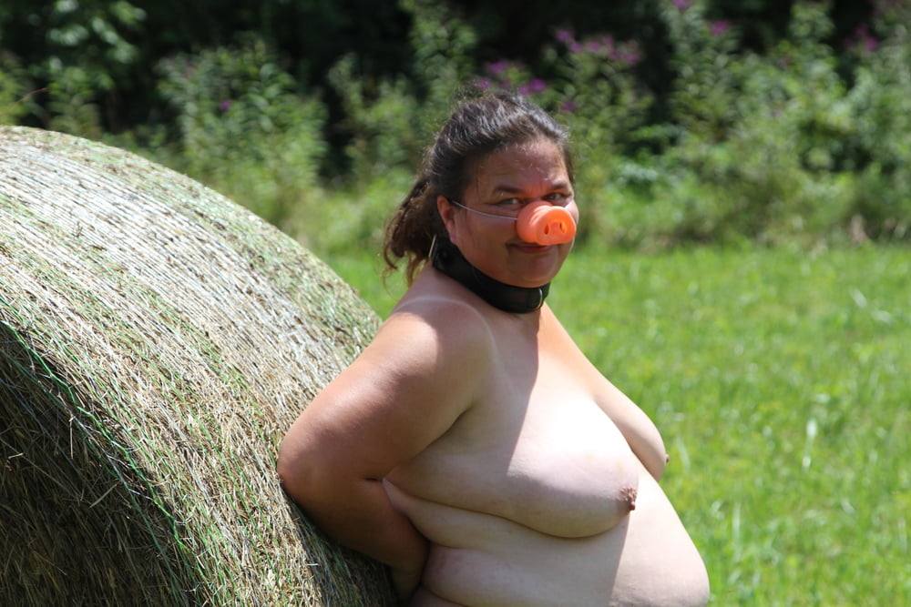 Porker in the field #80790248