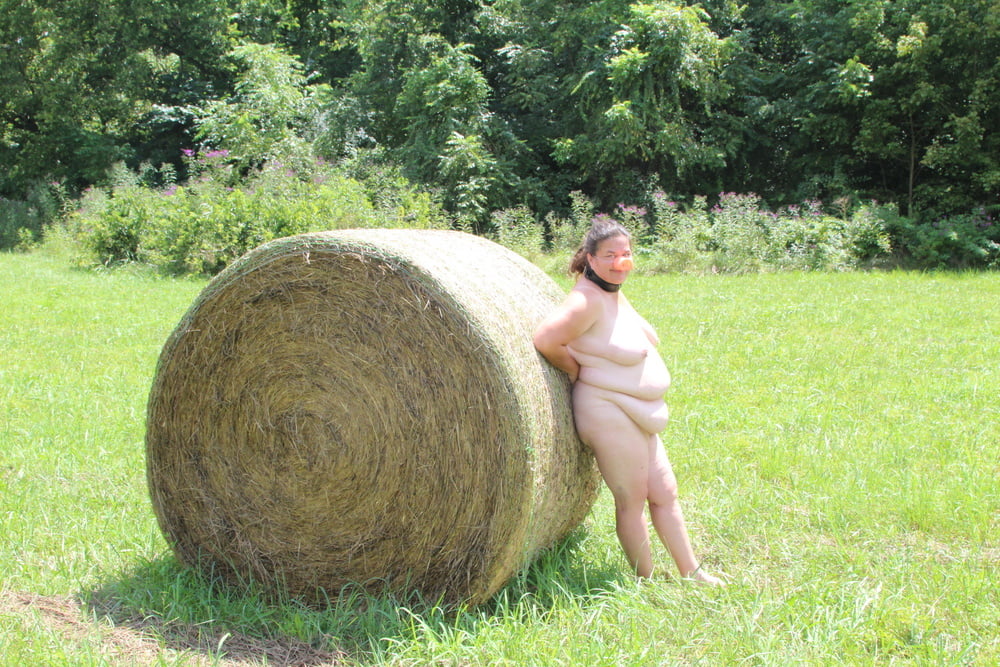 Porker in the field #80790251