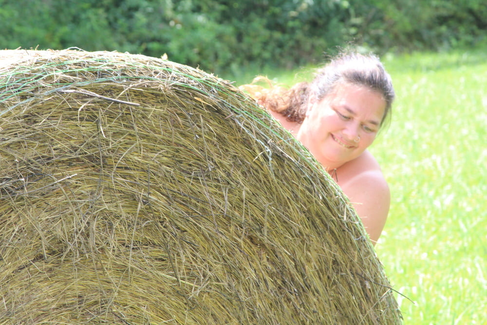 Porker in the field #80790304