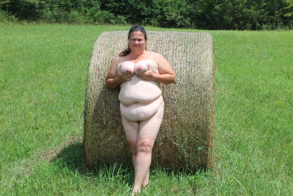 Porker in the field #80790324