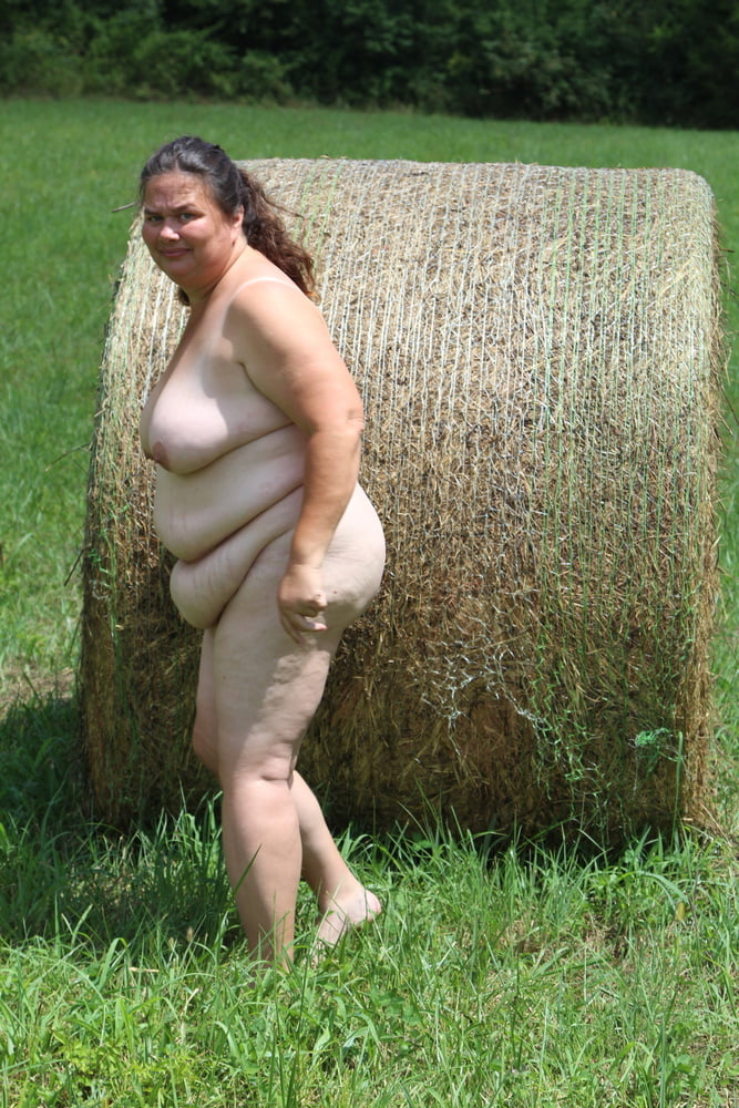 Porker in the field #80790330
