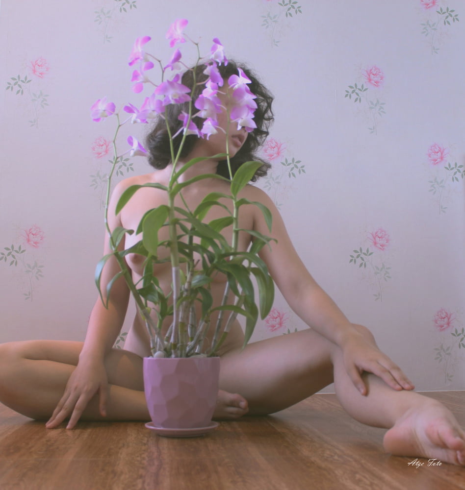 写真06を見る
 #91565104