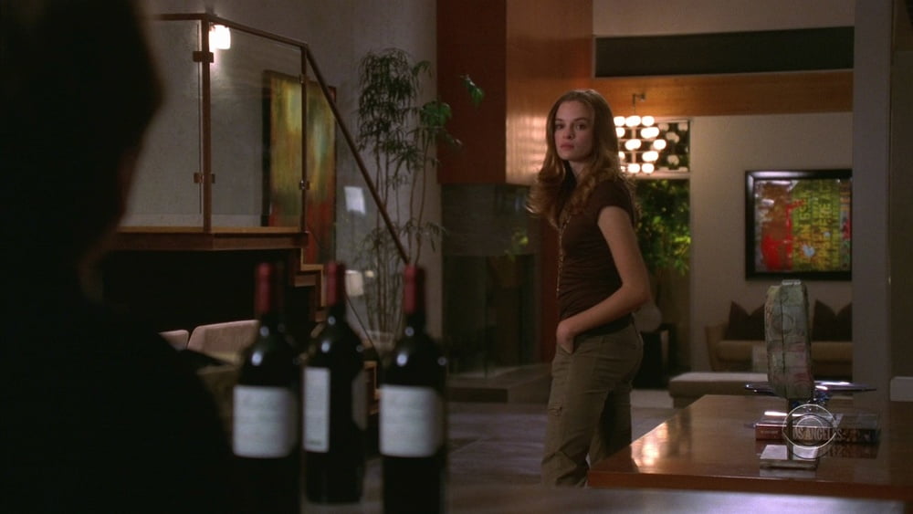 The Panabaker (Danielle Panabaker) #91165398
