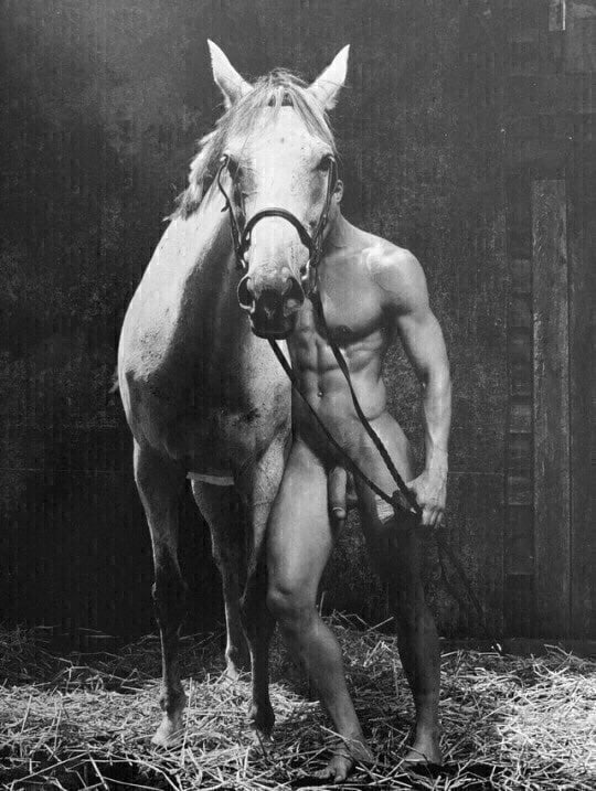 I like, 38 #93344020