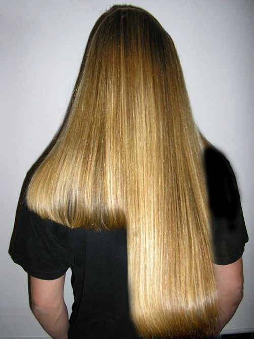 Longhair passion and beauty #93688982