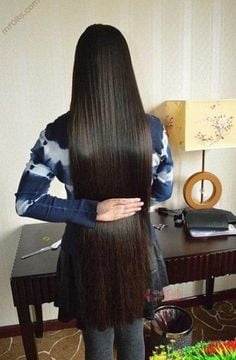 Longhair passion and beauty #93688993