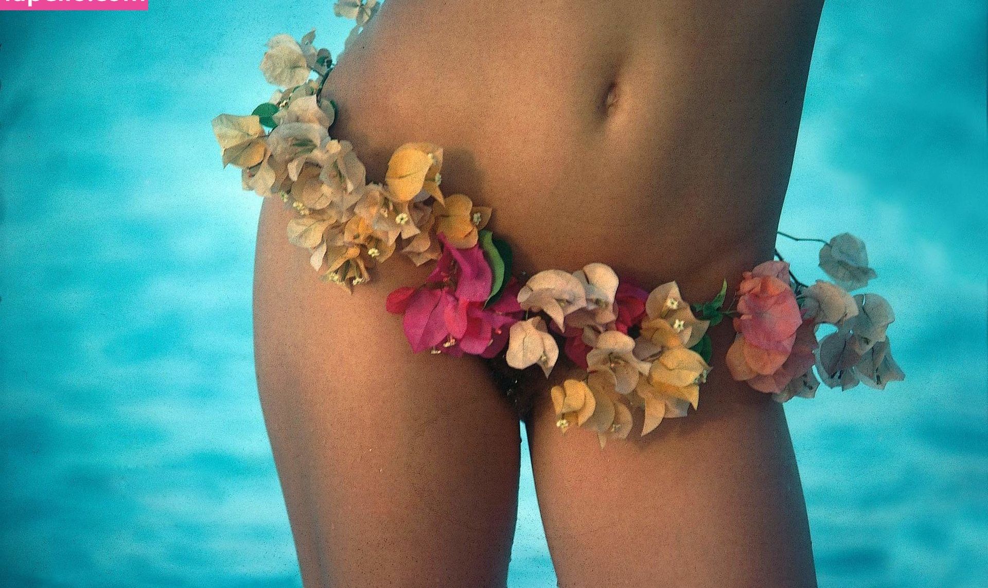 Vanessa Schreiber desnuda #108212355