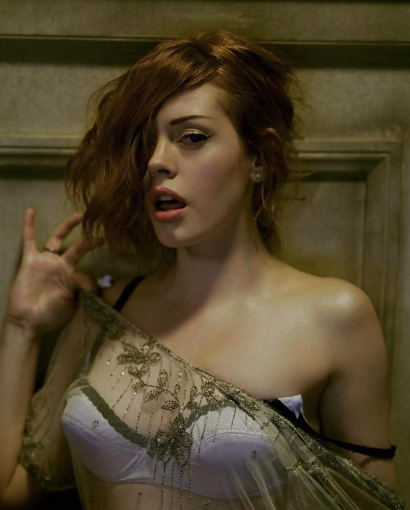 国際的なジンジャー
 #92425203