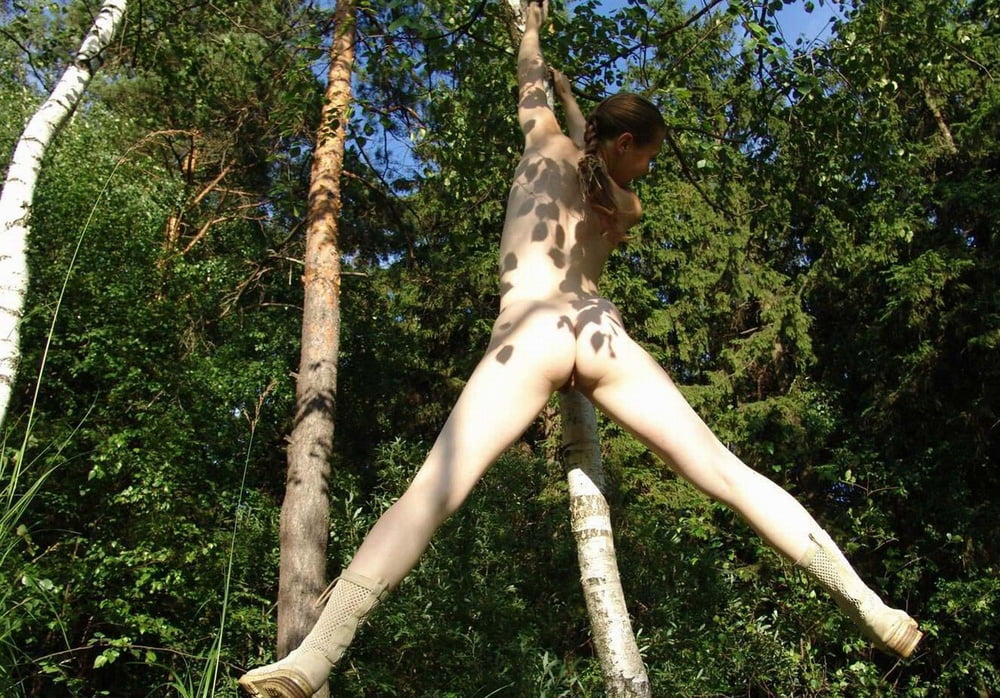 Tree Huggers 366 #93184234
