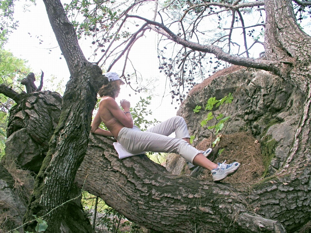 Tree Huggers 366 #93184348