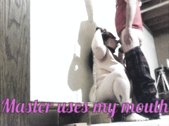 My GIFs with text #101838969