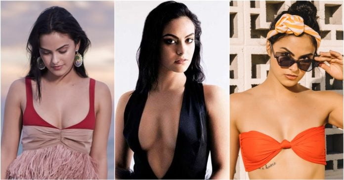 セレブ・ミックス
 #100864086