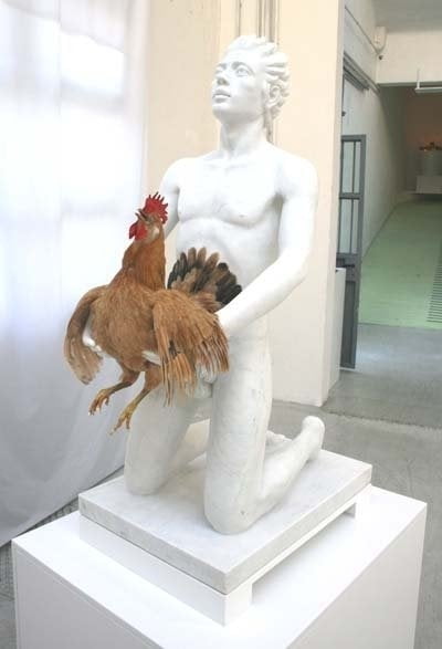 Wildes Huhn
 #102765388