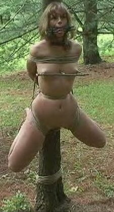 Compressed at the Waist #94684385