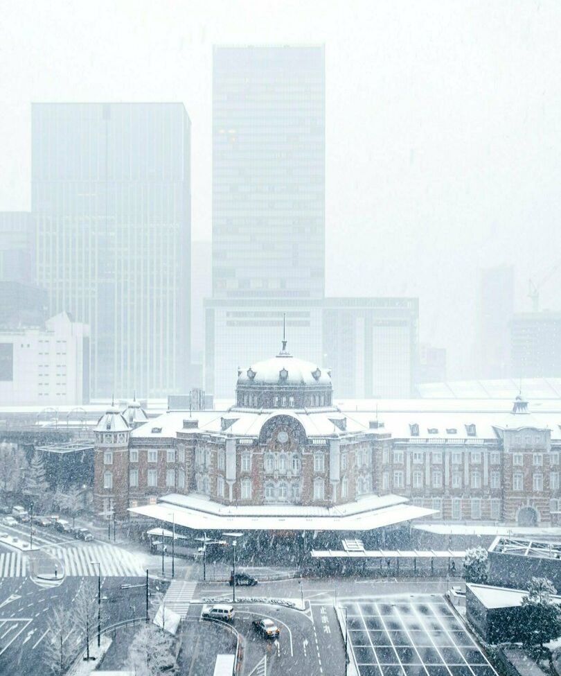 Lunaamemiya desnuda #108942580