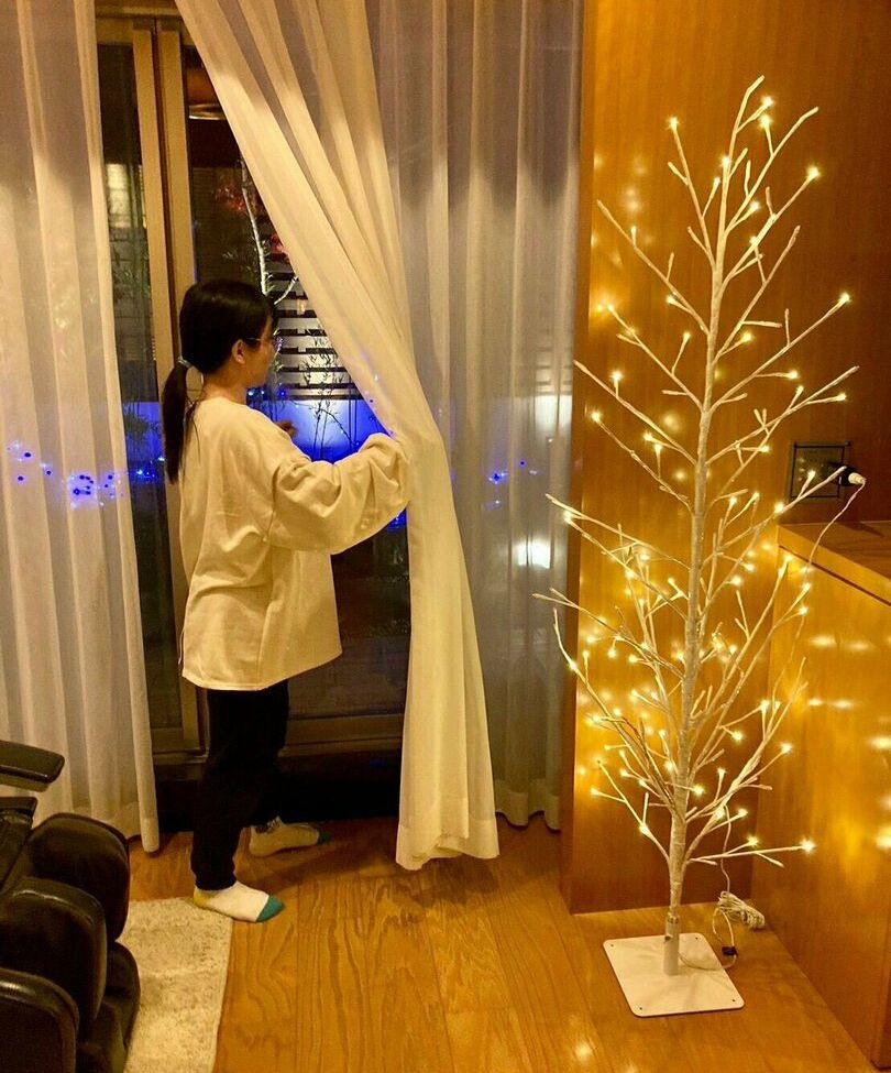 Lunaamemiya desnuda #108942620