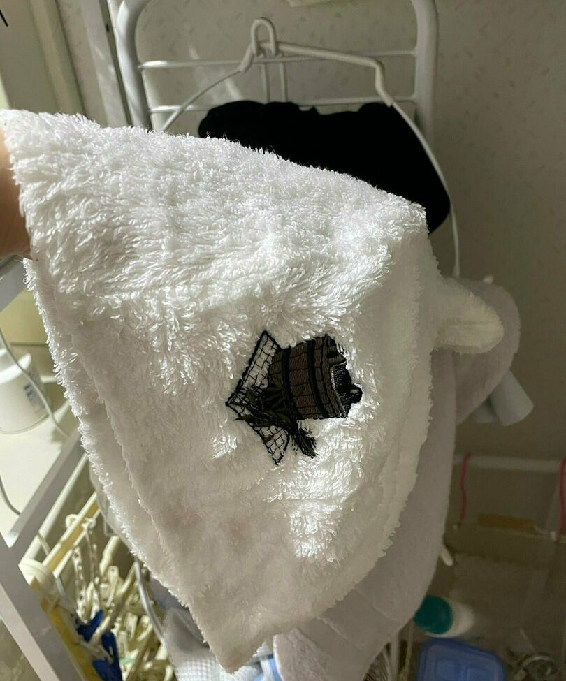 Lunaamemiya desnuda #108942661