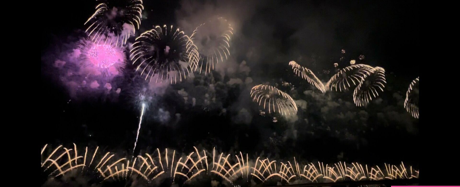 Lunaamemiya desnuda #108942709