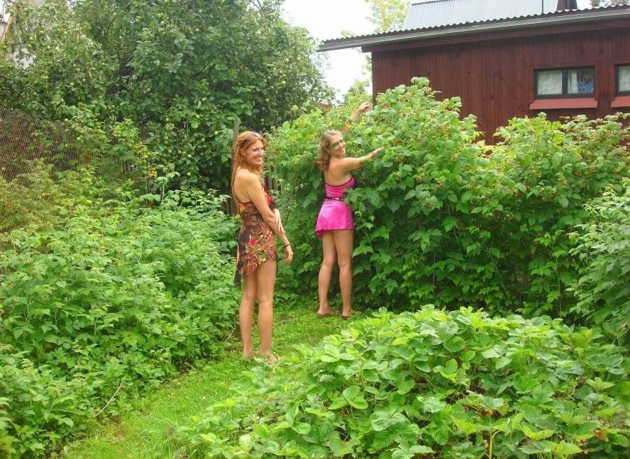 MILF et salopes 422 #94393083