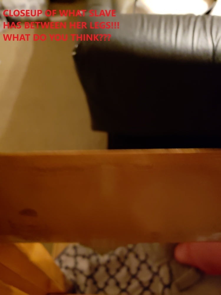 wooden pony #96149214