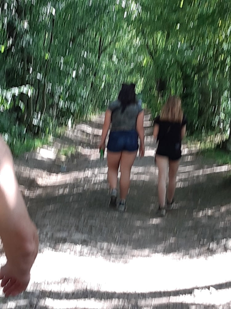 午後の森の中の散歩
 #92434923