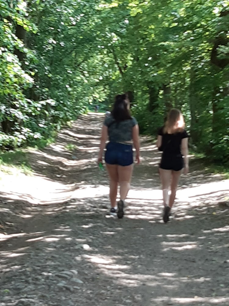 午後の森の中の散歩
 #92434935