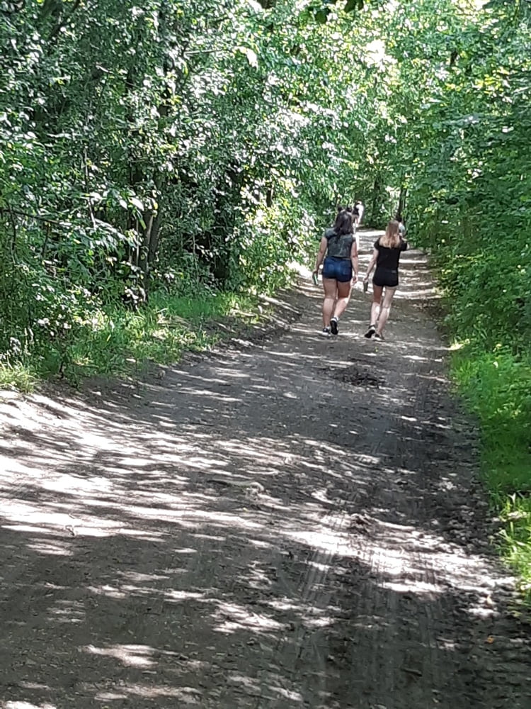 午後の森の中の散歩
 #92434938