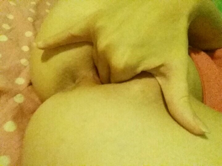 TheGeeksGirl #100876605