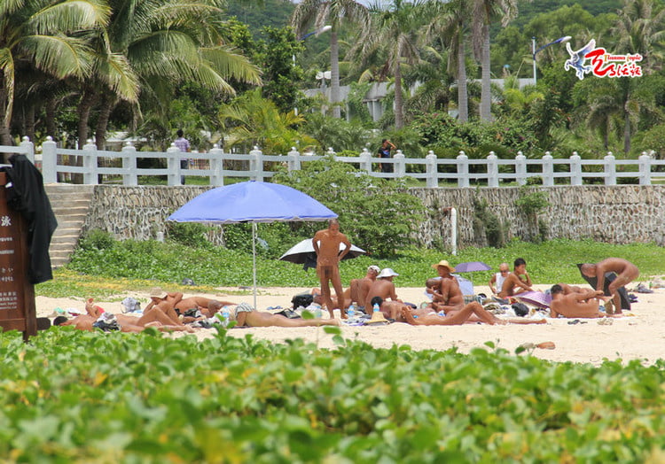0791 paisaje de la playa desnuda
 #93663982