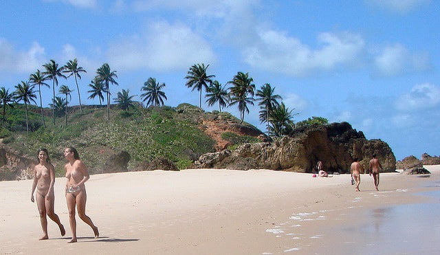 0791 paisaje de la playa desnuda
 #93664065