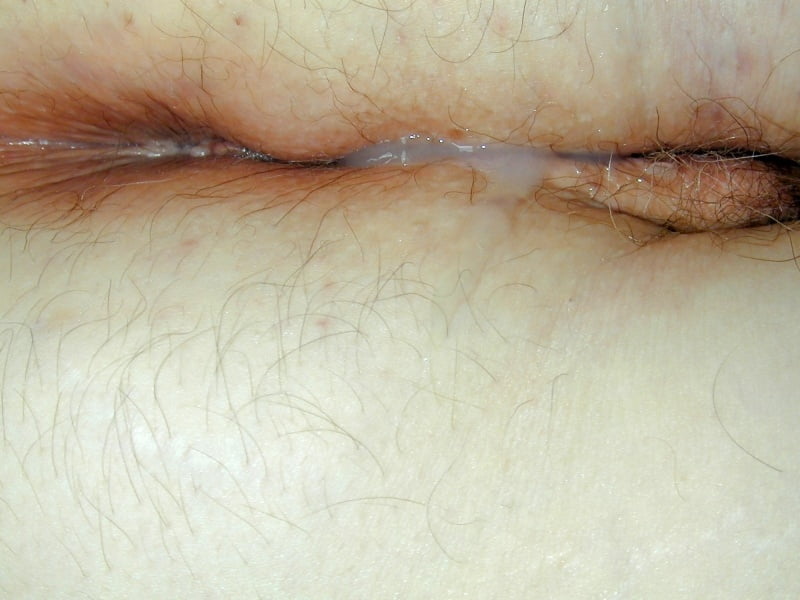 3.メリーランドのスインガー、ショーオフ
 #94818847