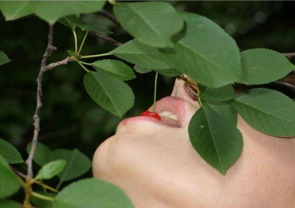 アマトリーチェ 662
 #91518228